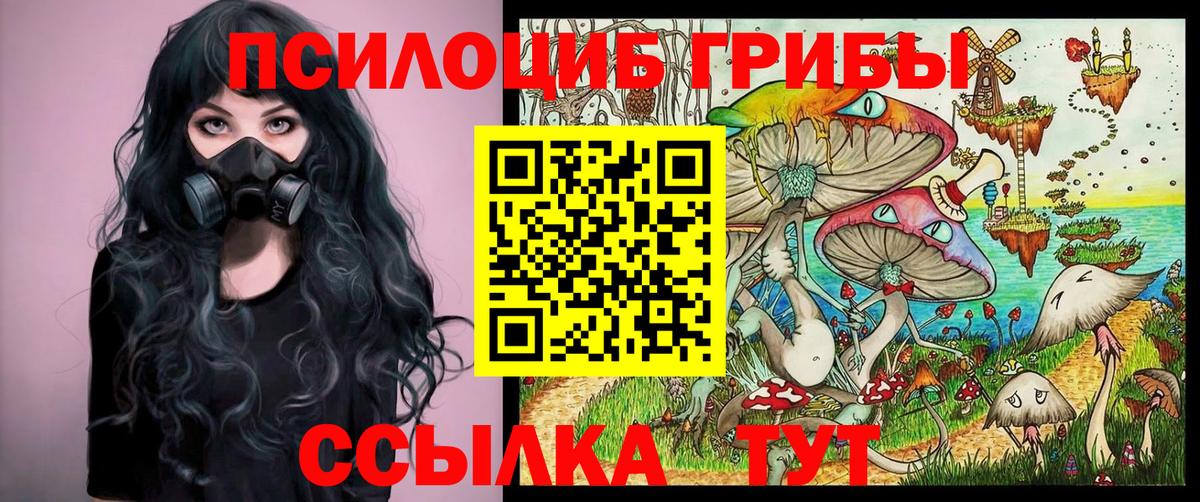 Псилоцибиновые грибы мицелий Вышний Волочёк