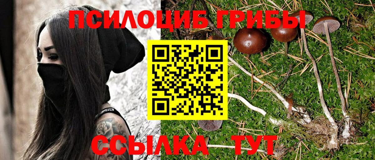 Галлюциногенные грибы мухоморы  Вышний Волочёк 